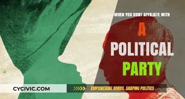 Independent Thinking: Embracing a Non-Partisan Political Identity