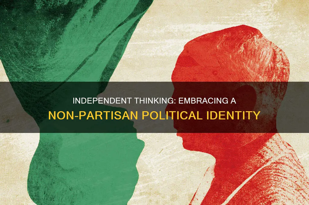 when you dont affiliate with a political party