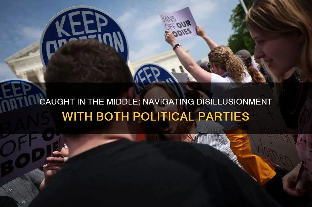 when you hate both political parties