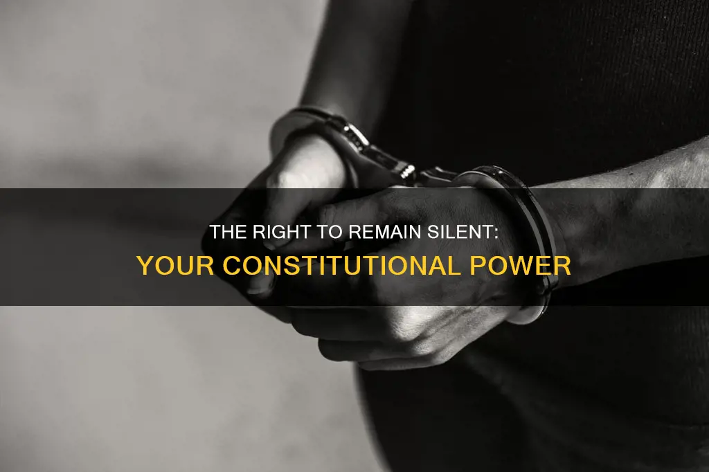 when you use the constitution to remain silent you