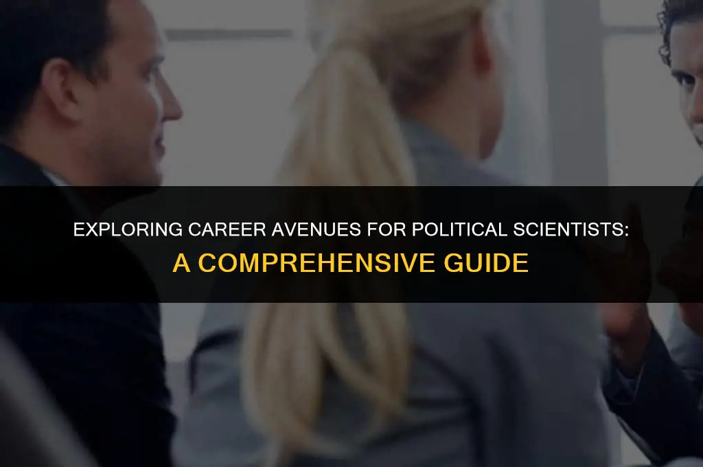 where a political scientist can work