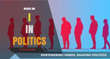 Navigating Political Identity: Where Do I Stand in Today’s Landscape?