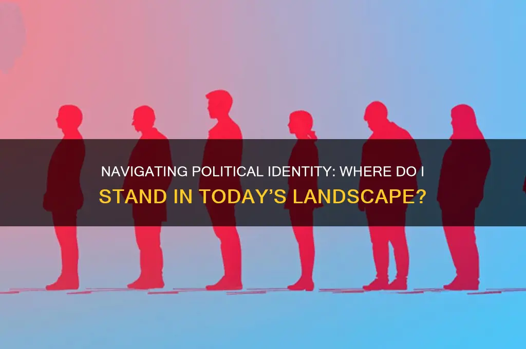 where am i in politics