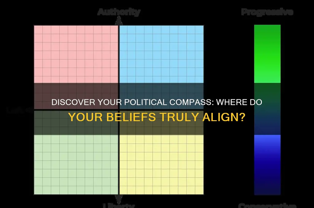 where am i political compass