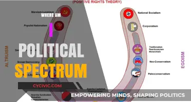 Navigating the Political Spectrum: Understanding Your Ideological Position