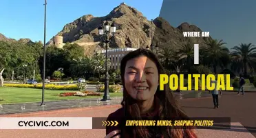 Exploring My Political Identity: Where Do I Stand in Today’s World?