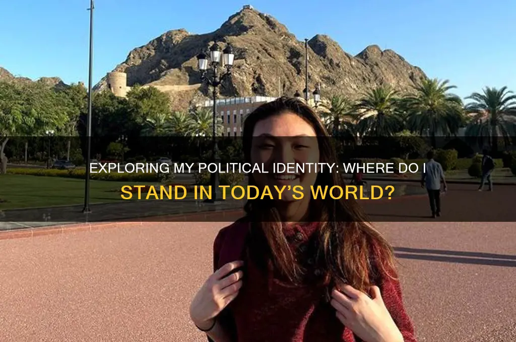 where am i political