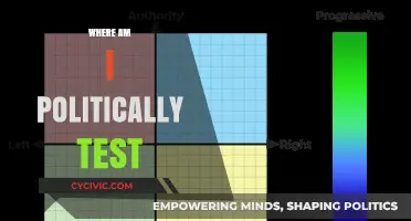 Discover Your Political Compass: Take the 'Where Am I Politically' Test