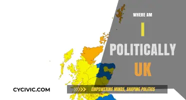 Exploring My Political Compass: Understanding Where I Stand in the UK