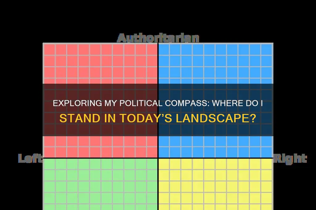 where am i politically