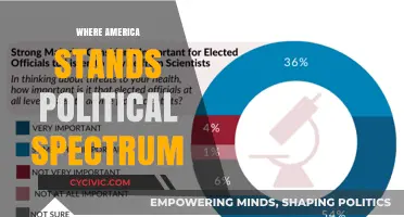 America's Political Spectrum: Divides, Ideologies, and Shifting Landscapes