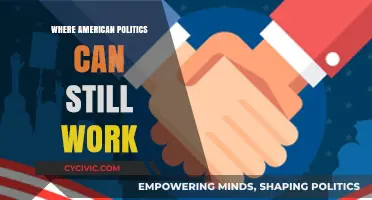 Where American Politics Can Still Work: A Path Forward