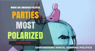 Polarization Peaks: Mapping America's Most Divided Political Landscapes