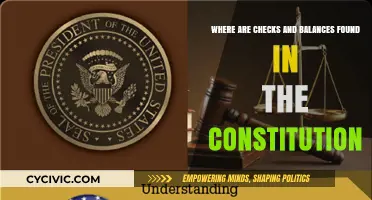 Checks and Balances: The Constitution's Core