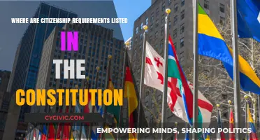 Citizenship Requirements: Where the Constitution Lists Them
