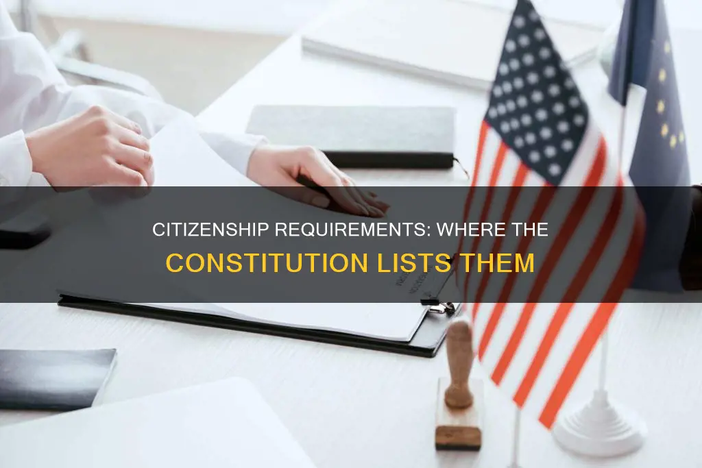 where are citizenship requirements listed in the constitution
