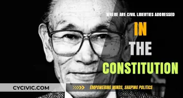 Civil Liberties: Constitutional Rights and Freedoms