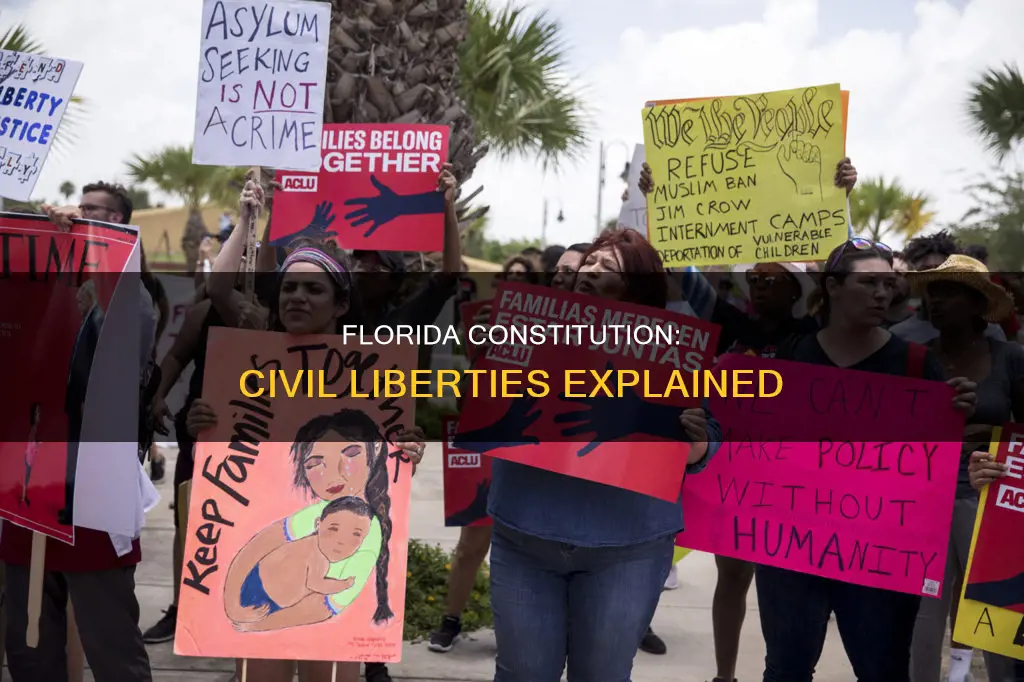 where are civil liberties found in the florida constitution