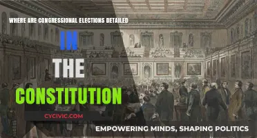 Congressional Elections: Constitutional Details Explored