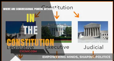 Congress's Powers: Understanding the US Constitution