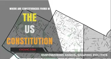 Constituencies: Where Are They in the US Constitution?