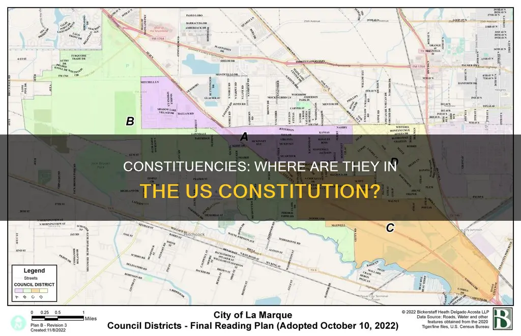 where are constituencies found in the us constitution