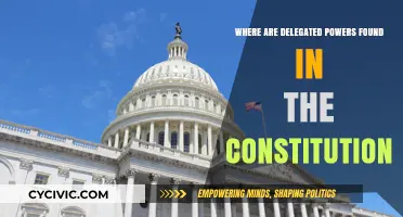 The Constitution's Delegated Powers: Exploring Their Origins