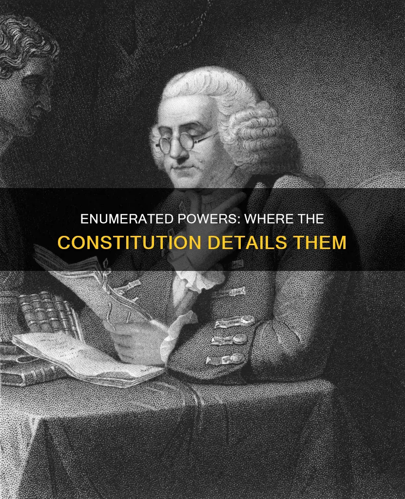where are enumerated powers described in the constitution