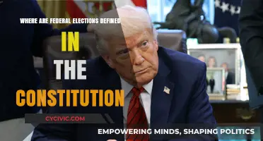 The Constitution: Federal Elections Explained