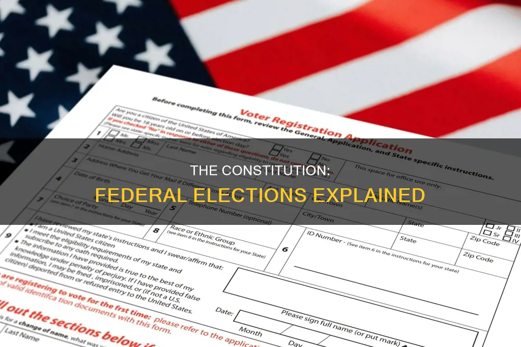 where are federal elections defined in the constitution