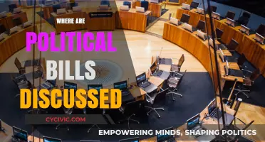 Where Political Bills Are Debated: Understanding the Legislative Process