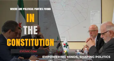 Founding Fathers' Intent: Political Parties in the Constitution