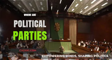 Where Are Political Parties Today? A Shifting Landscape of Ideologies and Influence