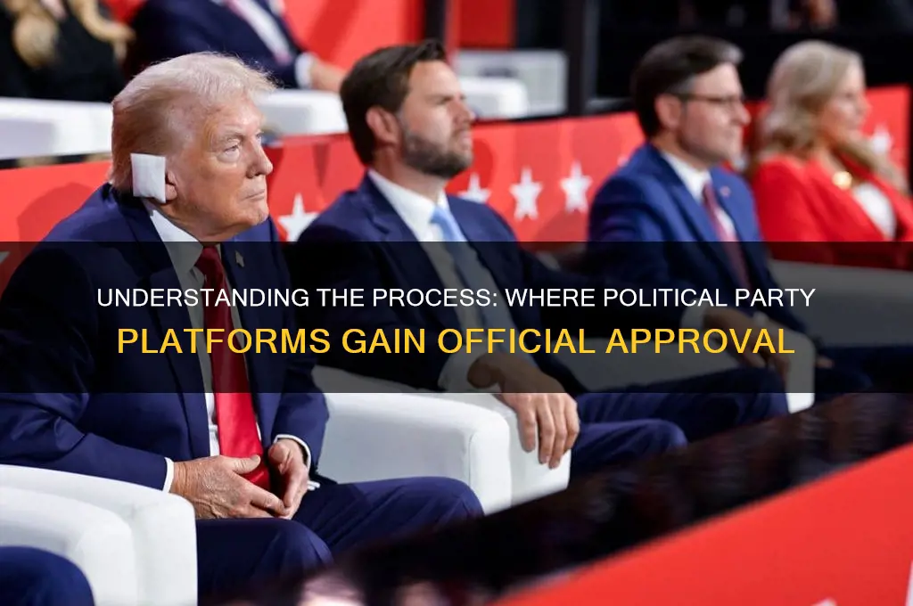 where are political party platforms approved