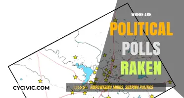 Where Political Polls Are Taken: Locations and Methods Explained