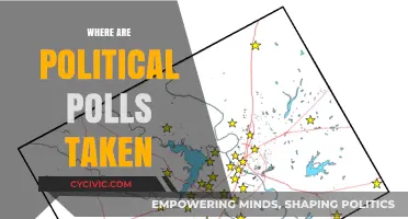 Understanding Political Polls: Locations, Methods, and Accuracy Explained
