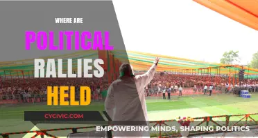 Exploring Popular Venues for Political Rallies Across the Globe