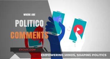 Where Are Politico Comments? Exploring the Platform's Engagement Features