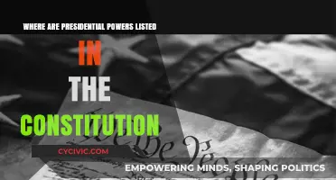 The Constitution's Guide to Presidential Powers