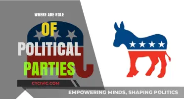 The Evolving Role of Political Parties in Modern Democracy