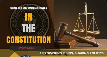 Separation of Powers: The Constitution's Checks and Balances