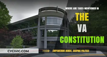Virginia Constitution: Taxes and the Law
