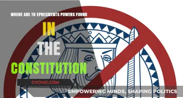 The President's Powers: Understanding the US Constitution