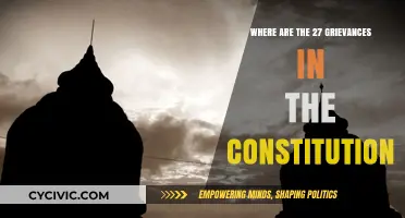 The Constitution's Grievances: 27 Reasons for Revolution