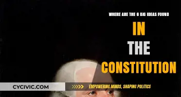 Big Ideas: The Constitution's Core Principles