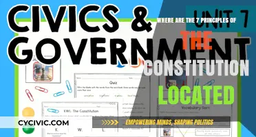 The Constitution's Principles: Location and Significance