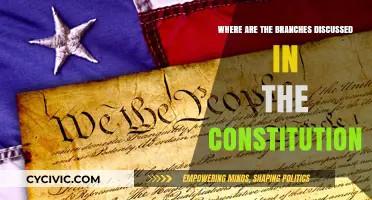 Constitution Branches: A Comprehensive Overview