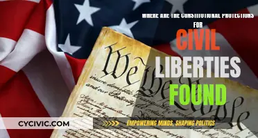 Civil Liberties: Constitutional Protections Found and Explained