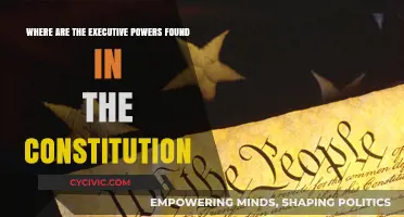 Executive Powers: Exploring the Constitution's Heart
