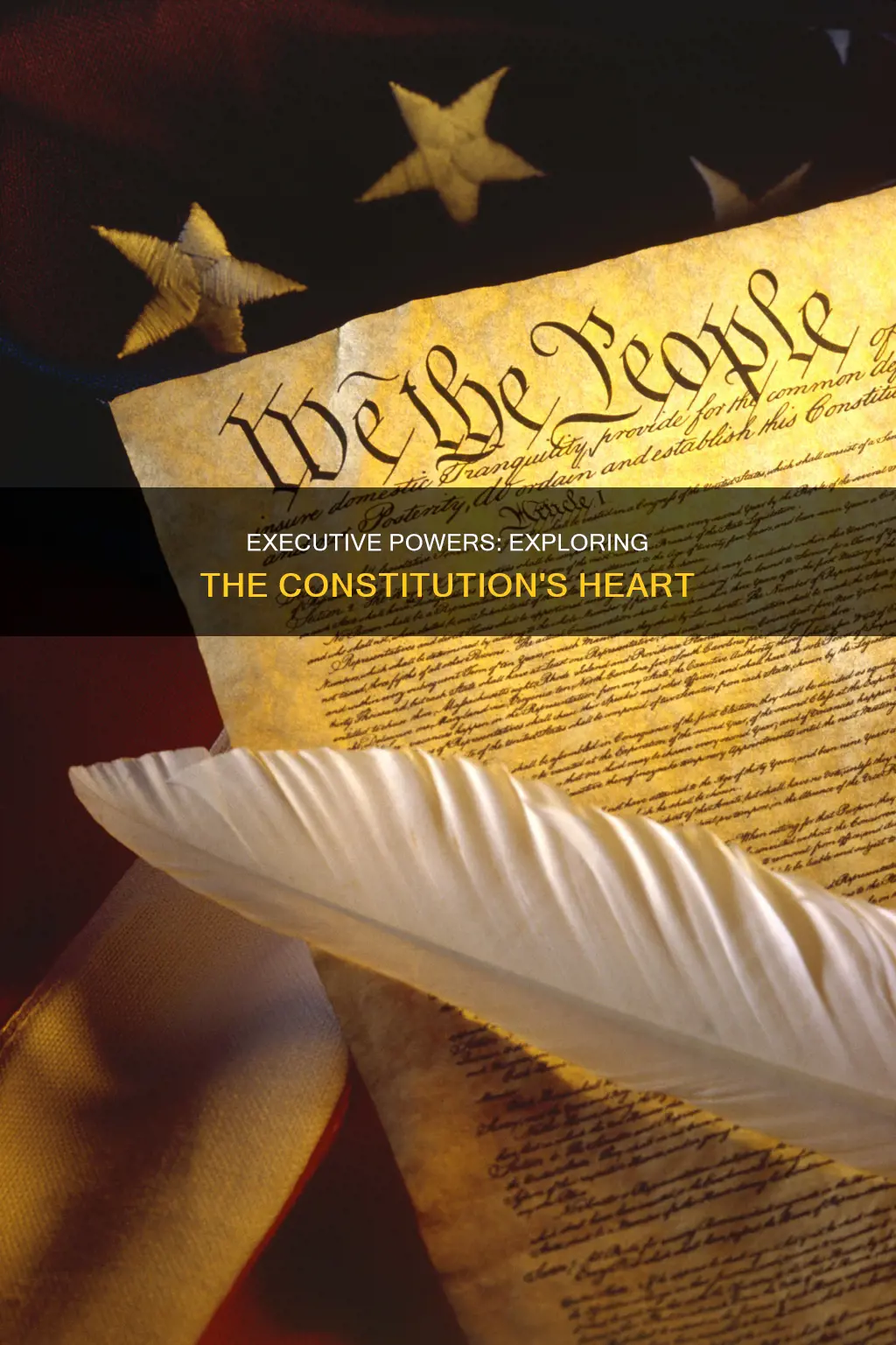 where are the executive powers found in the constitution